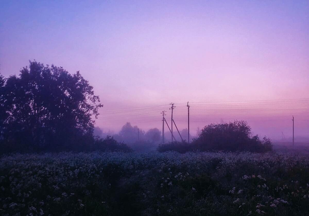 怪诞故事：探花