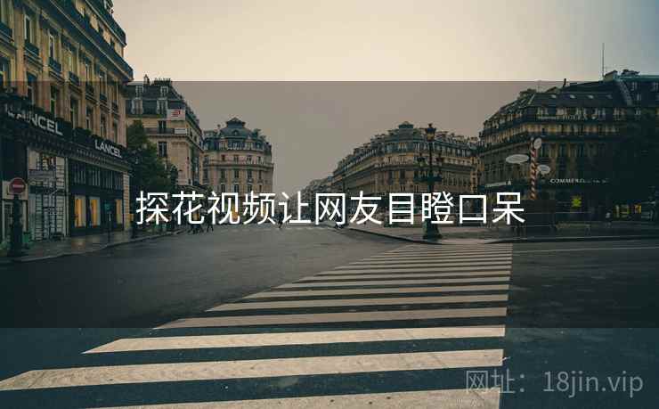 探花视频让网友目瞪口呆