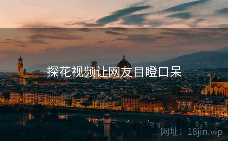 探花视频让网友目瞪口呆