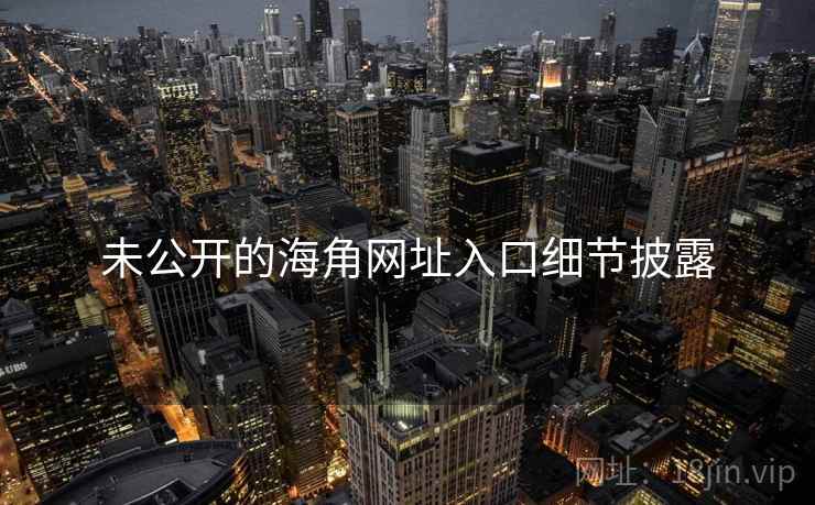 未公开的海角网址入口细节披露
