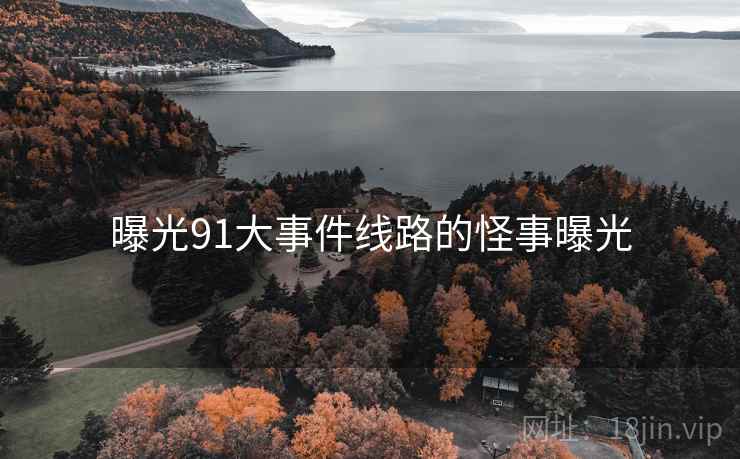 曝光91大事件线路的怪事曝光