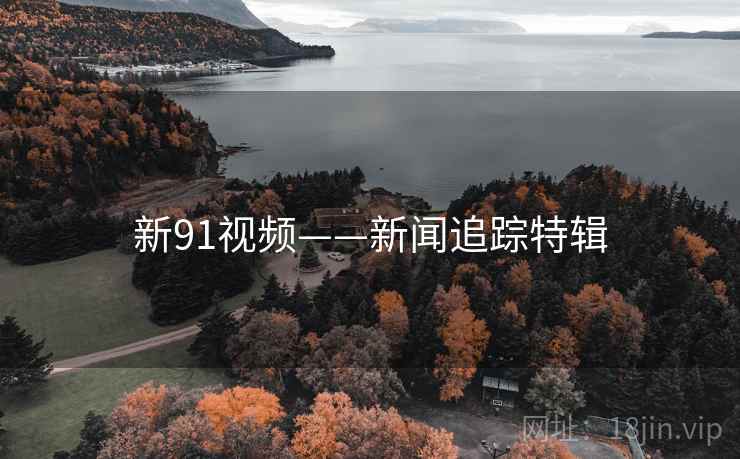 新91视频——新闻追踪特辑