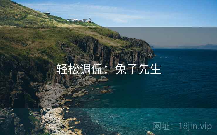轻松调侃：兔子先生