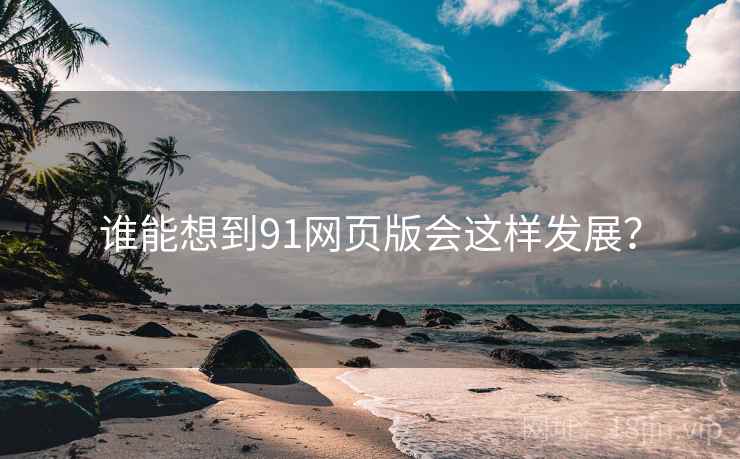 谁能想到91网页版会这样发展？