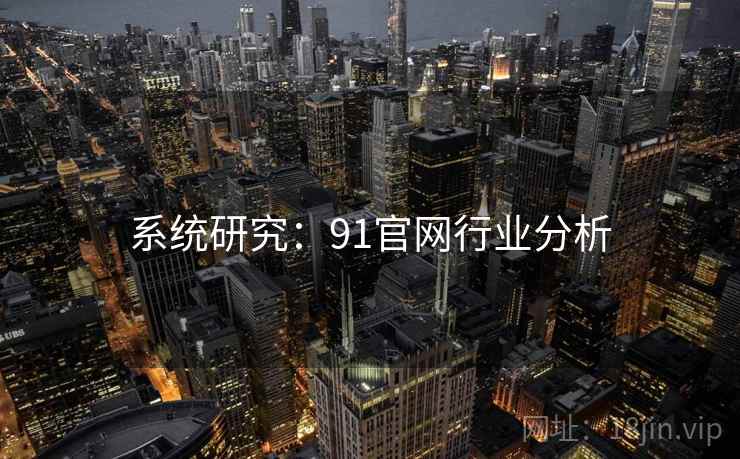 系统研究：91官网行业分析