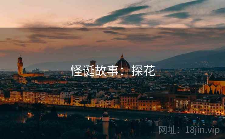 怪诞故事：探花
