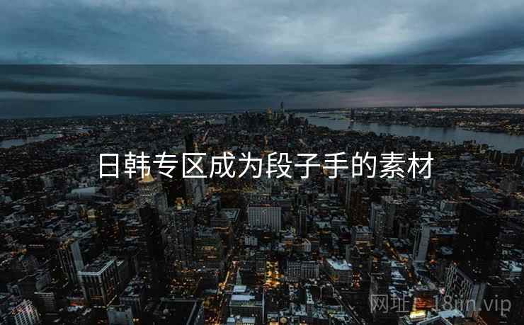 日韩专区成为段子手的素材