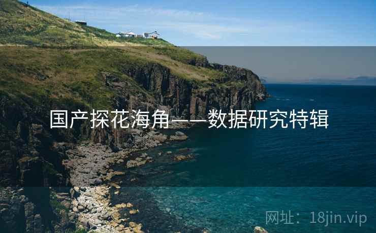 国产探花海角——数据研究特辑