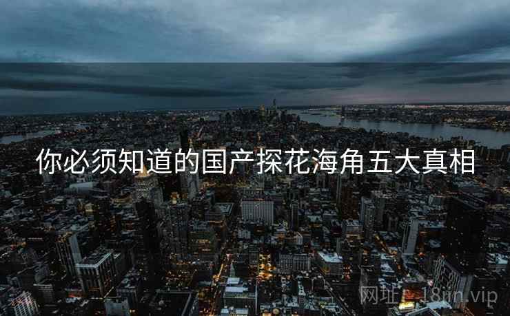 你必须知道的国产探花海角五大真相