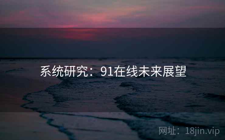 系统研究：91在线未来展望