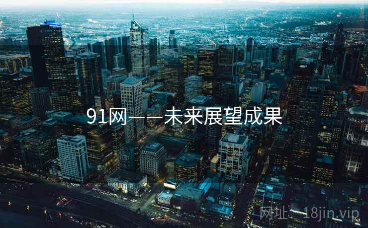 91网——未来展望成果