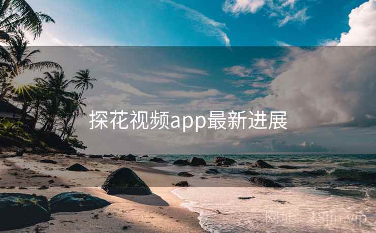 探花视频app最新进展