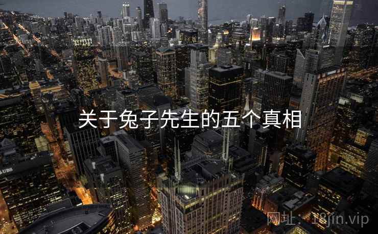 关于兔子先生的五个真相