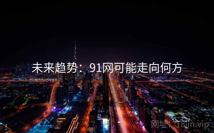 未来趋势：91网可能走向何方