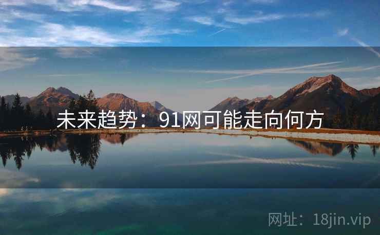 未来趋势：91网可能走向何方