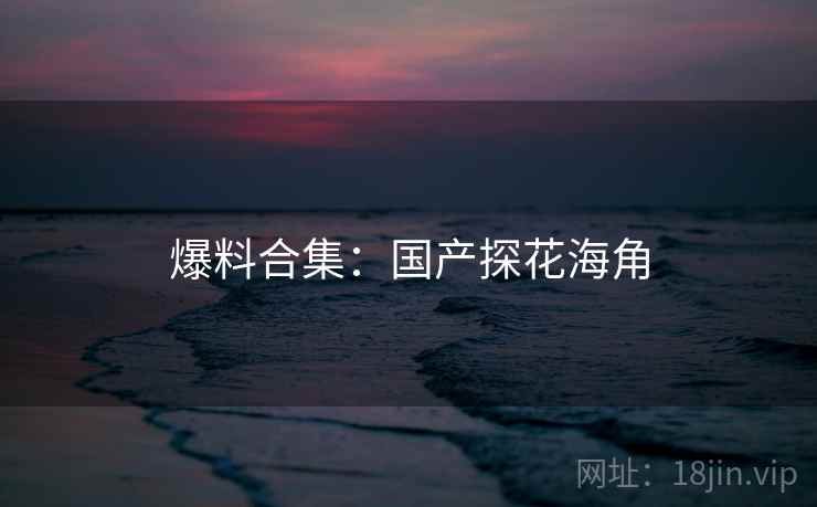 爆料合集：国产探花海角