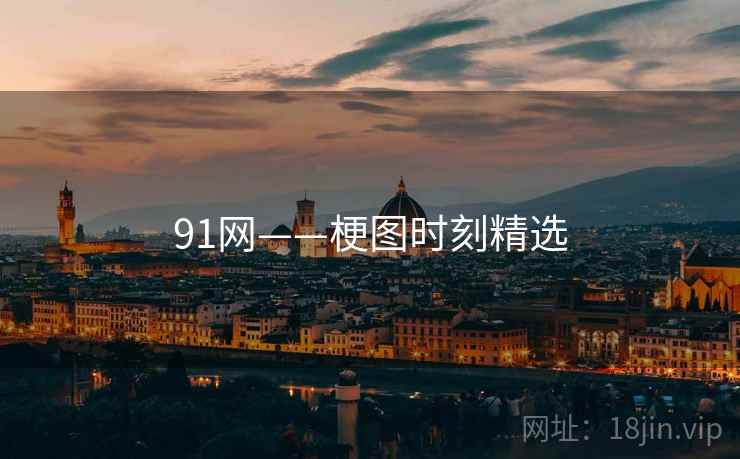 91网——梗图时刻精选