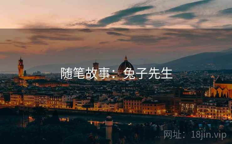 随笔故事：兔子先生