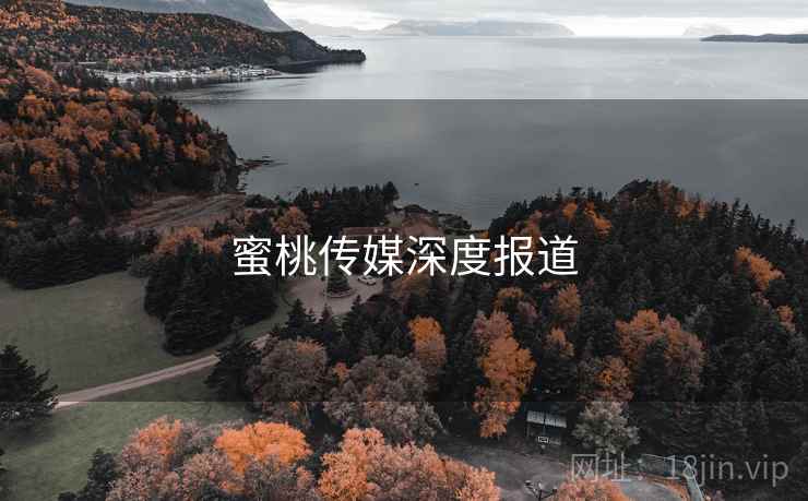蜜桃传媒深度报道