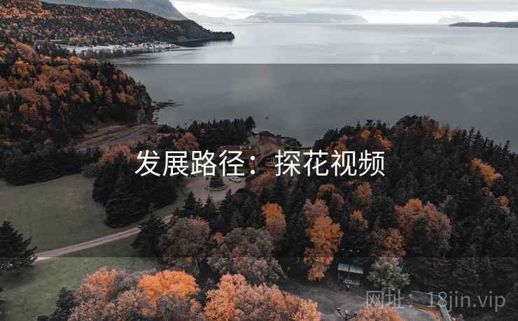 发展路径:探花视频