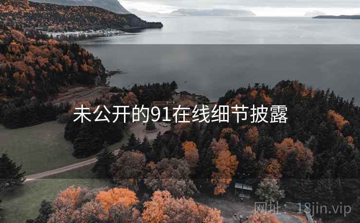 未公开的91在线细节披露